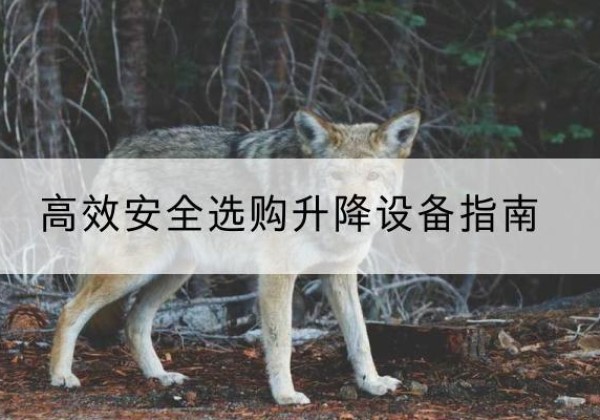灵武升降货梯厂家推荐-*安全选购升降设备指南