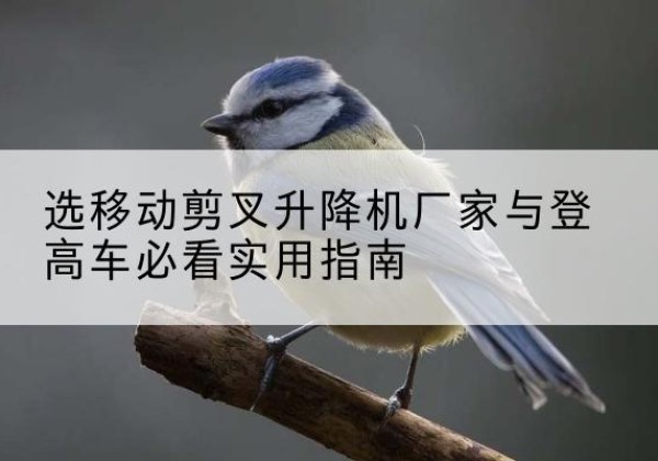 灵武电动升降机厂家-选移动剪叉升降机厂家与登高车必看实用指南