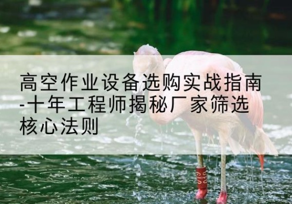 灵武剪叉式升降机厂家-高空作业设备选购实战指南-十年工程师揭秘厂家筛选核心法则